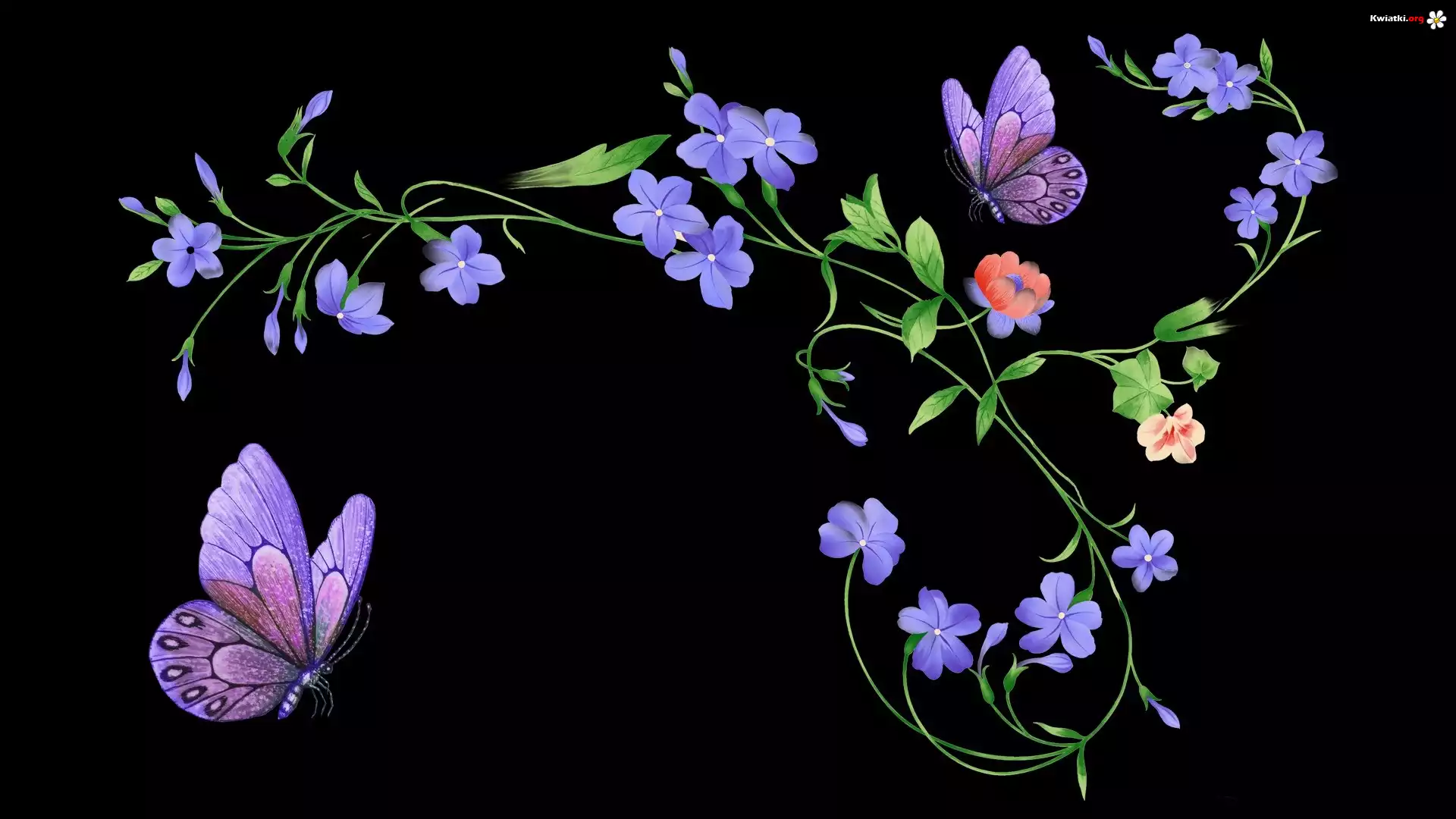 Kwiaty, Motylki, Grafika 2D