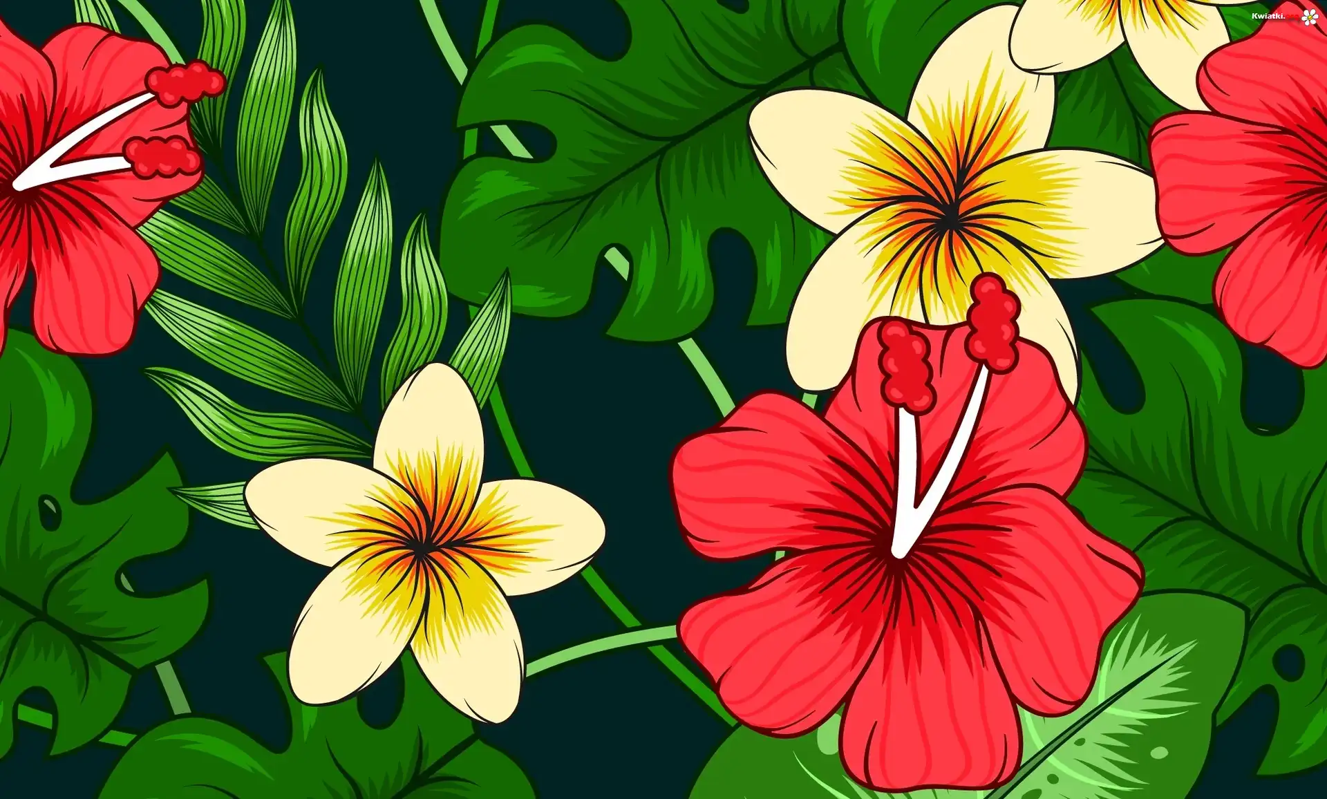 Kwiaty, Plumerie, Hibiskusy, Liście