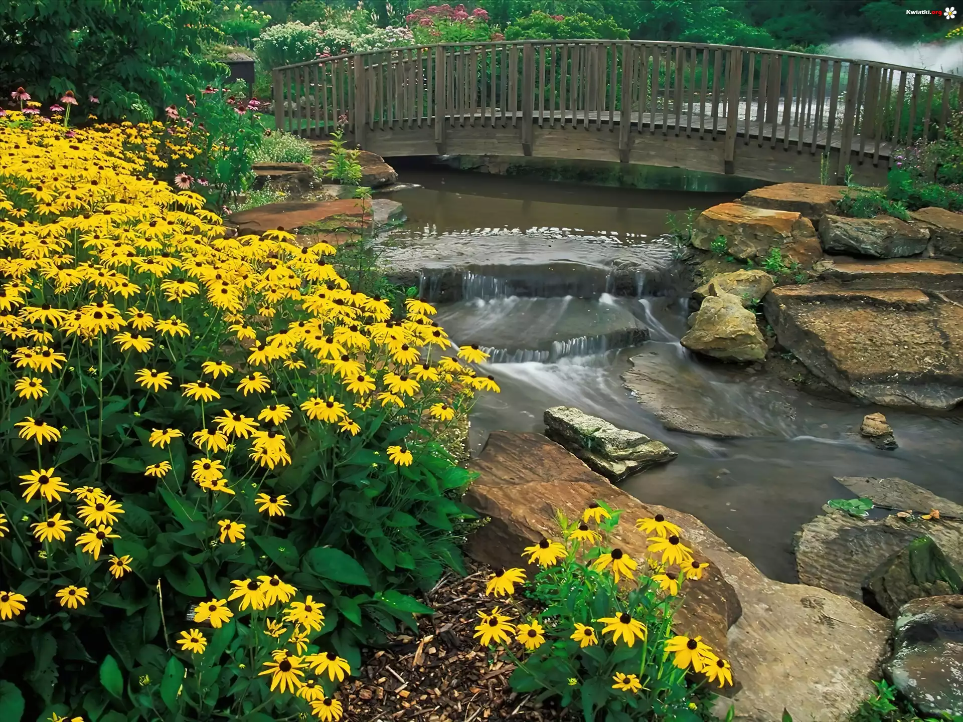 Kwiaty, Ohio, Kirtland, Holden, Arboretum