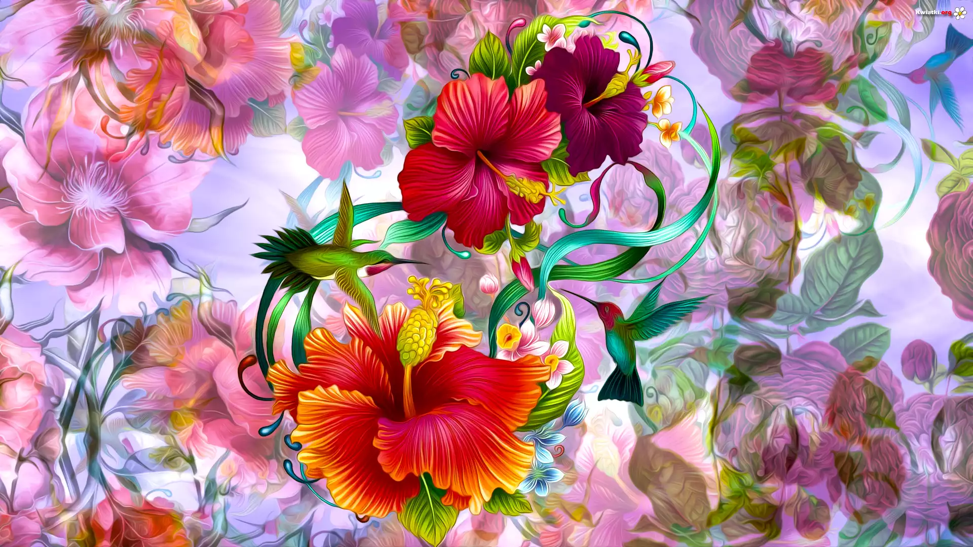 Kwiaty, Hibiskusy, Ptaki, Kolibry, Grafika