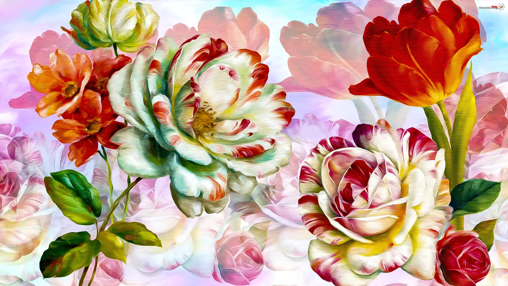 Kwiaty, Tulipan, Róże, Grafika