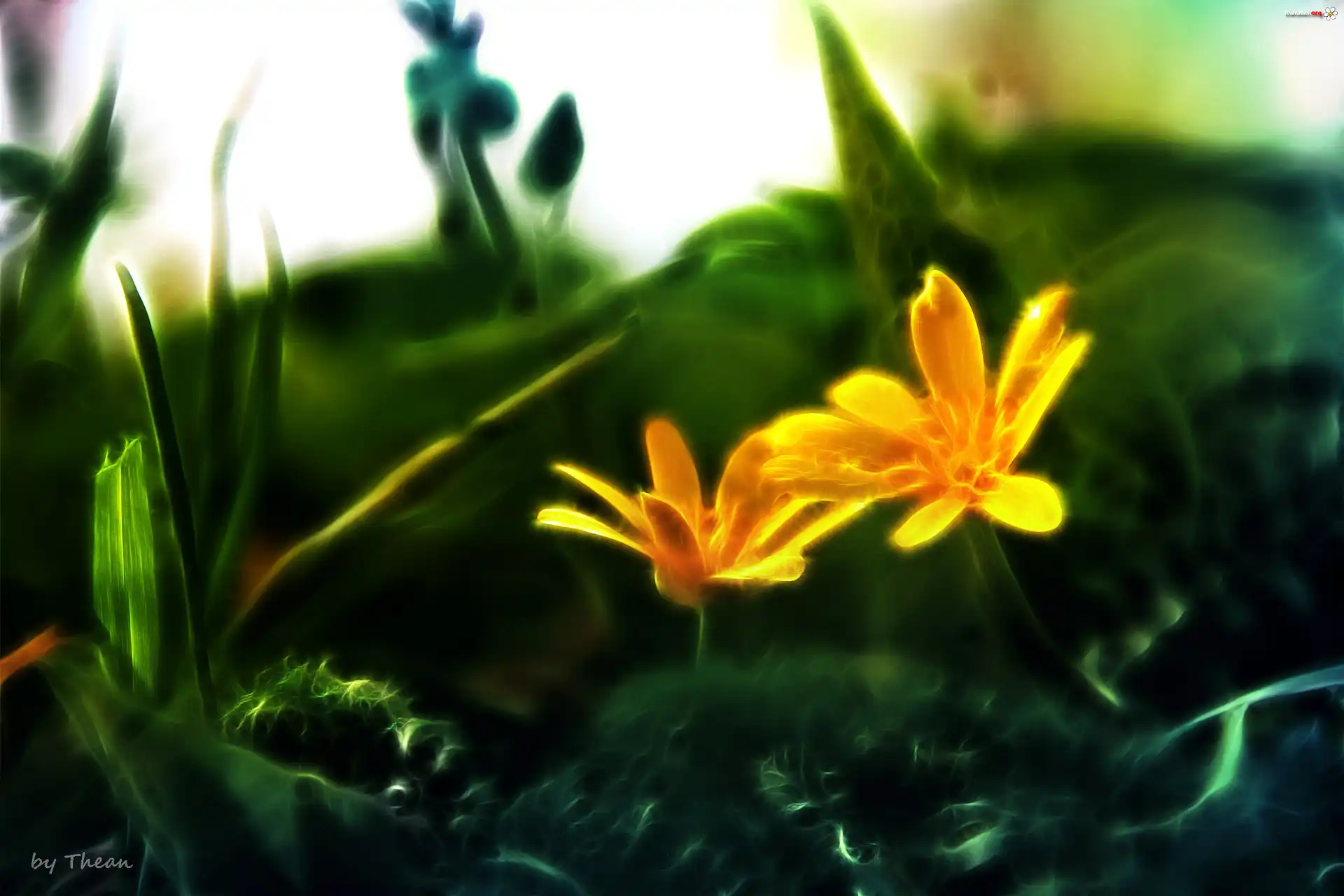 Żółte, Wiosenne, Kwiaty, Fractalius