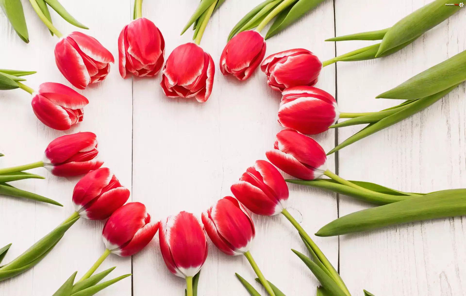 Kwiaty, Tulipany, Wiosna, Serce