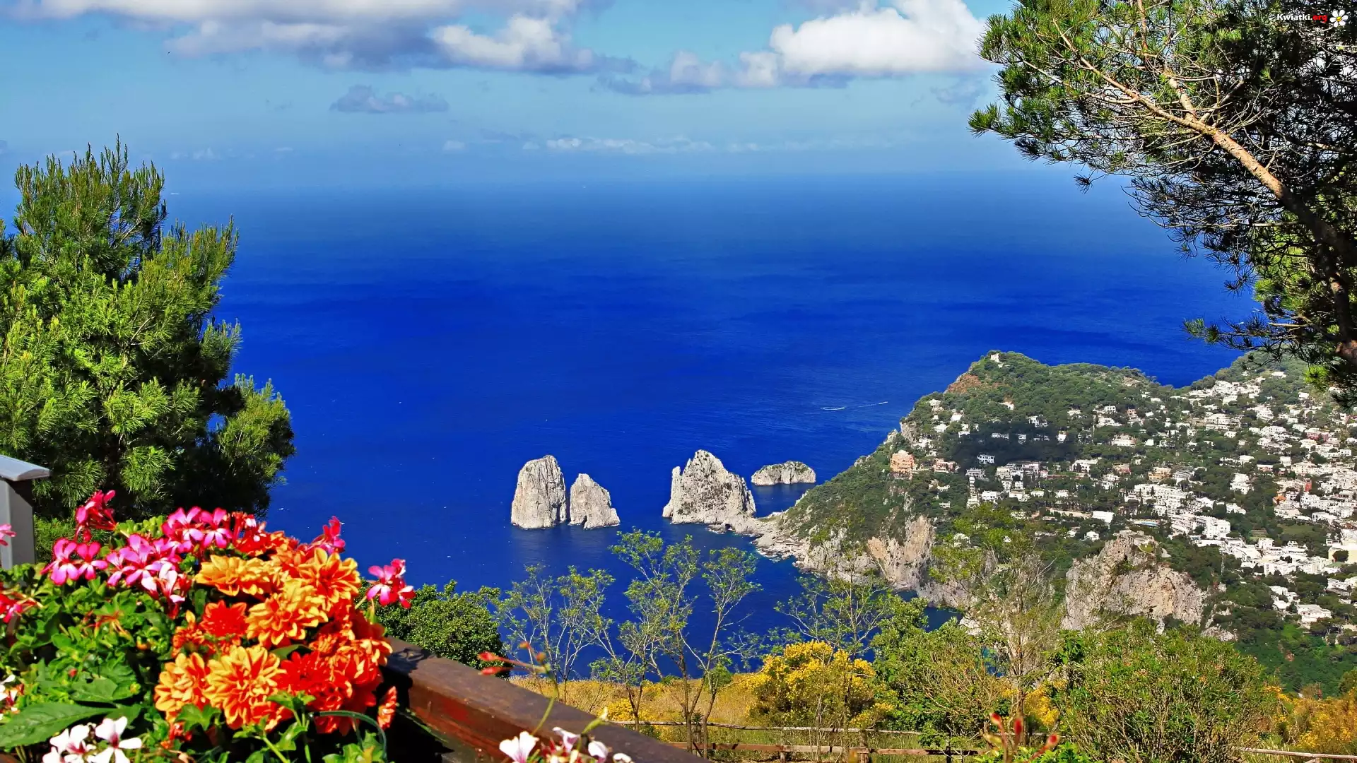 Morze, Skały, Kwiatki, Capri