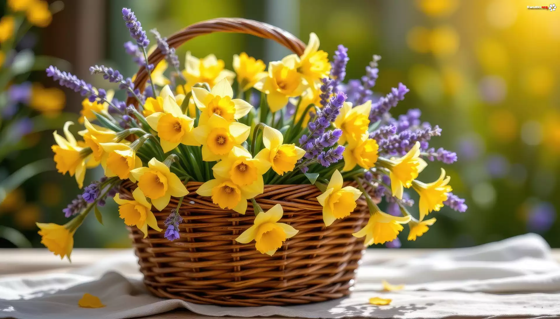 Wiklinowy, Koszyk, Kwiaty, Narcyzy żonkile, Lawenda
