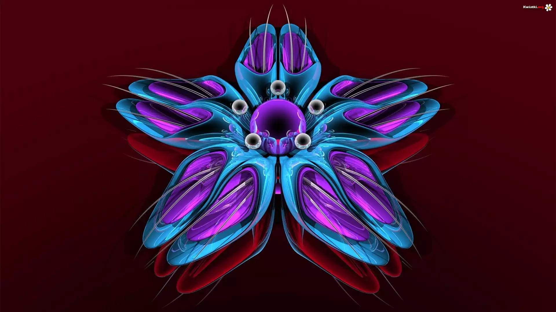 Niebieski, Kwiat, Grafika 3D