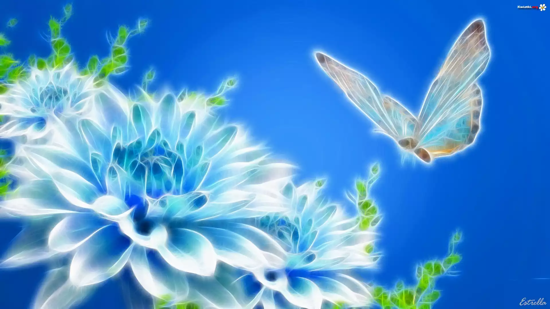 Niebieskie, Tło, Kwiat, Motyl, 3D