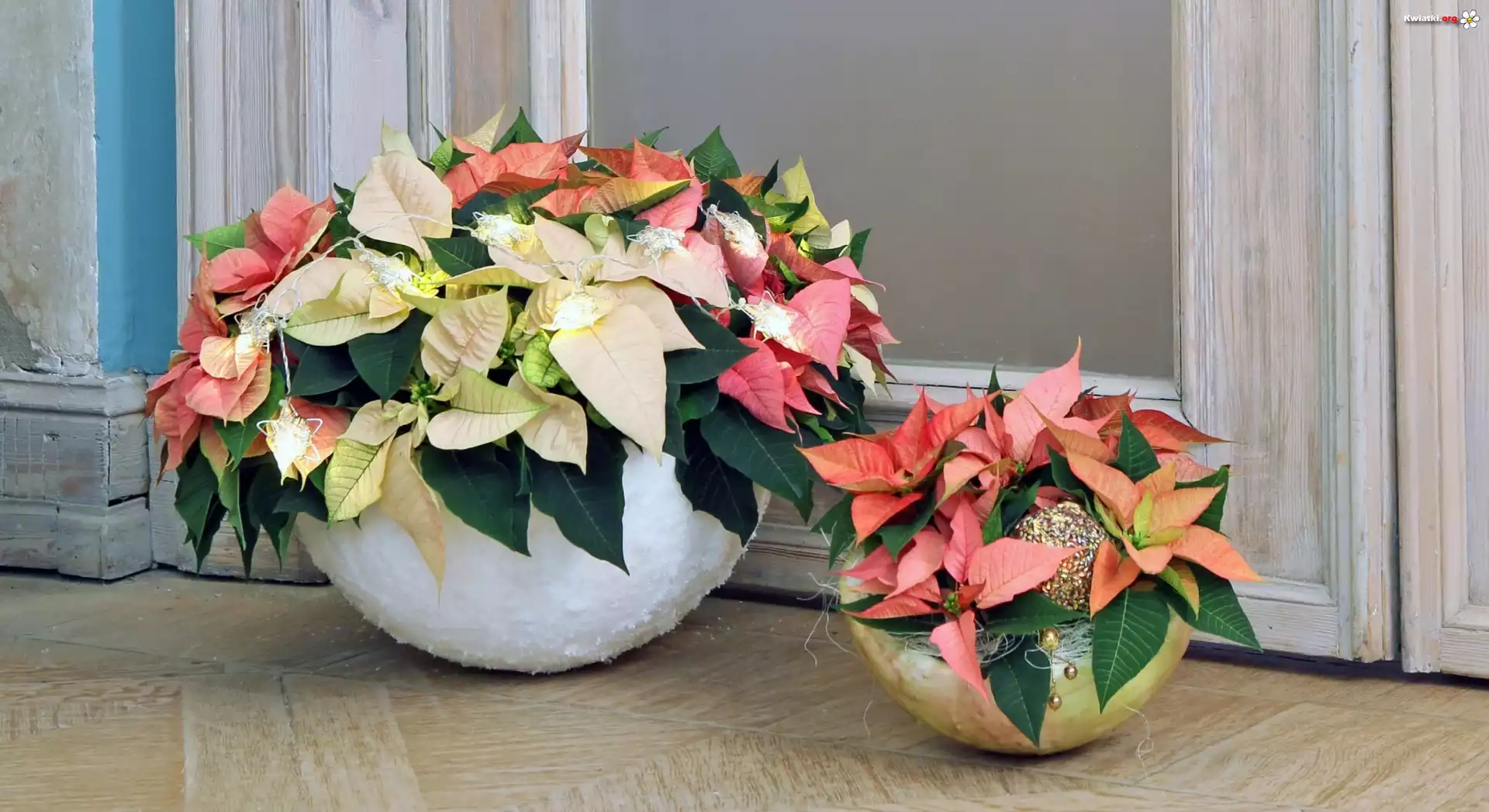 Donice, Ornament, Kwiaty