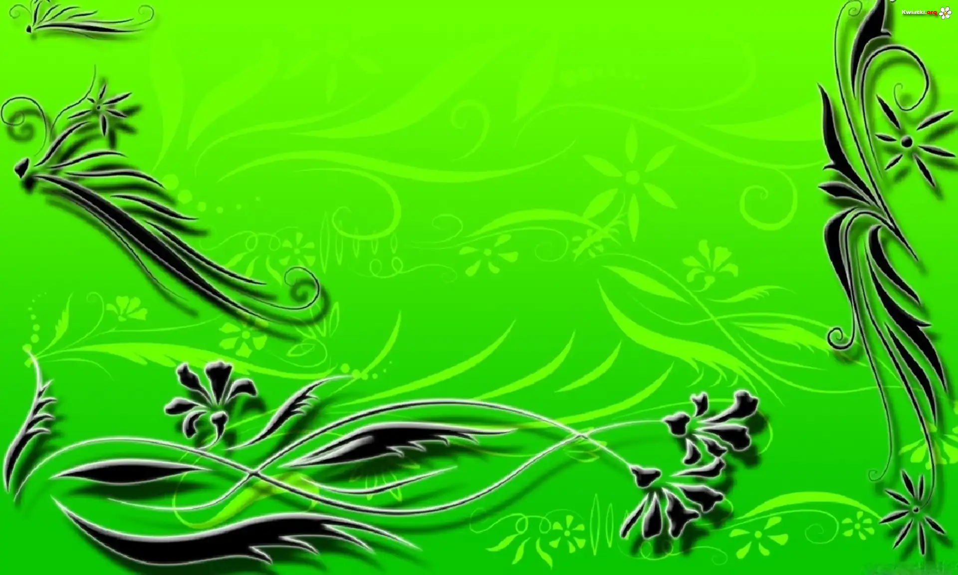 Czarne, Ornamenty, Kwiaty