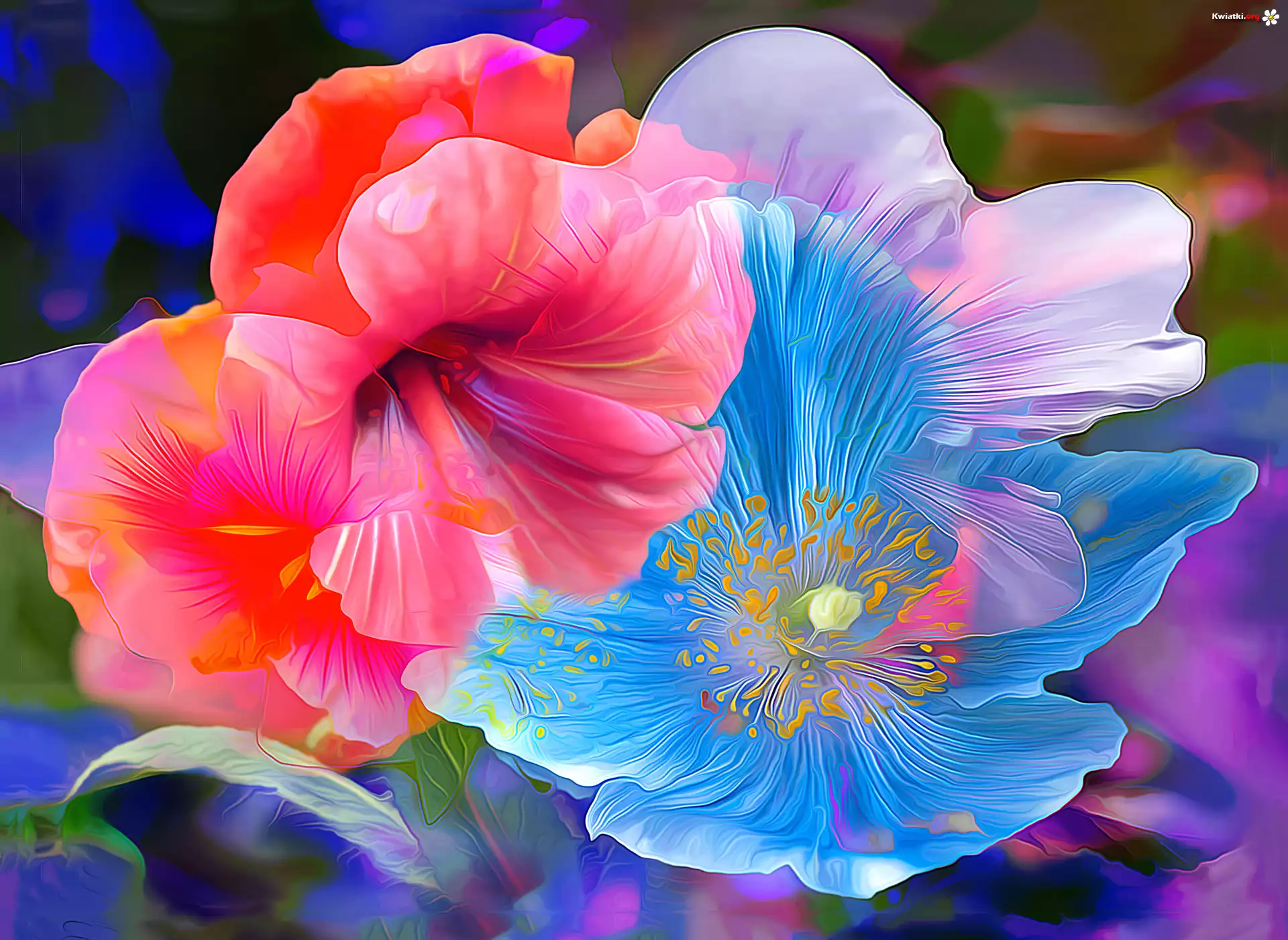 Grafika, Paintography, Kwiaty