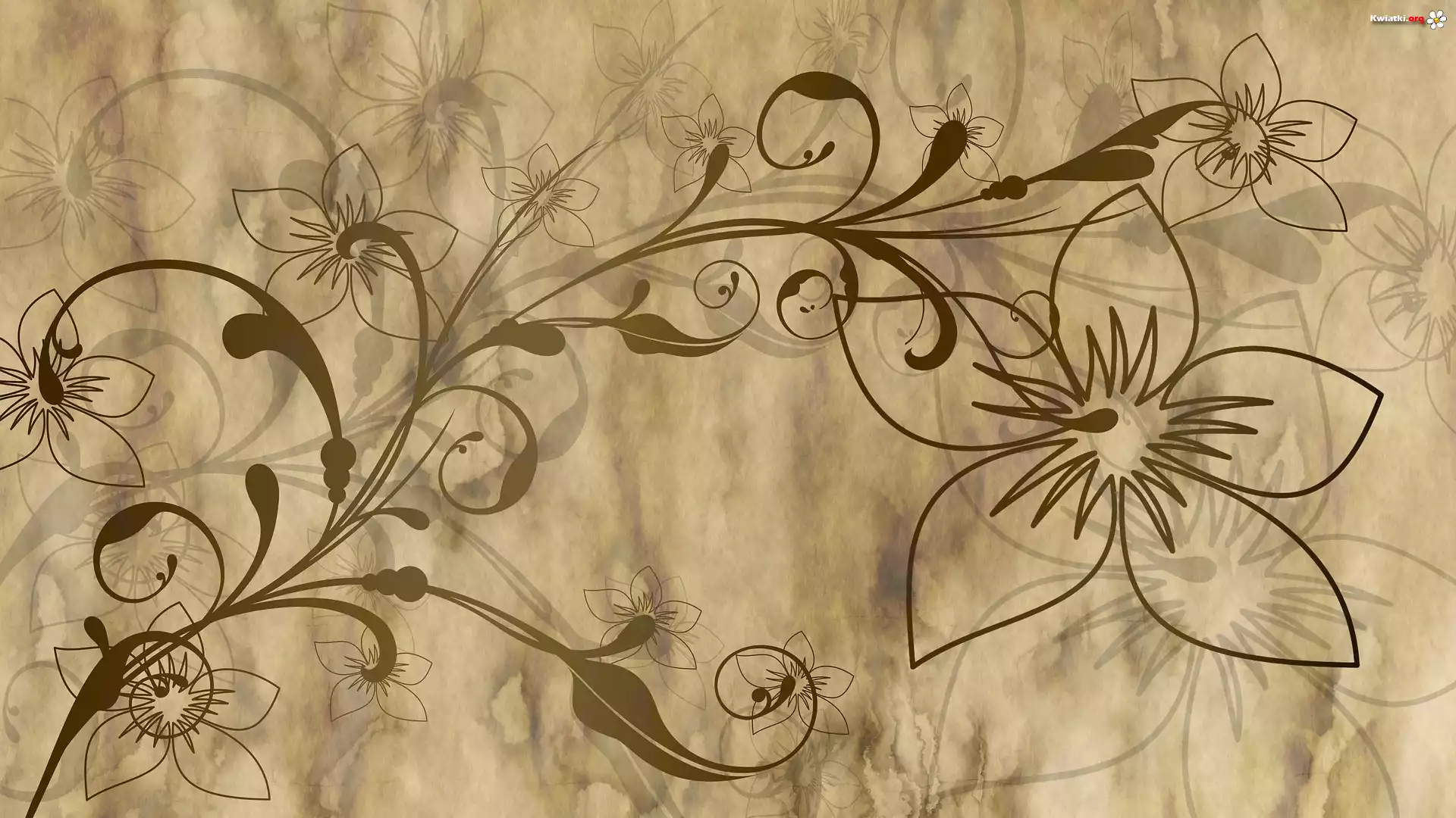 Papier, Pergamin, Kwiaty, 2D