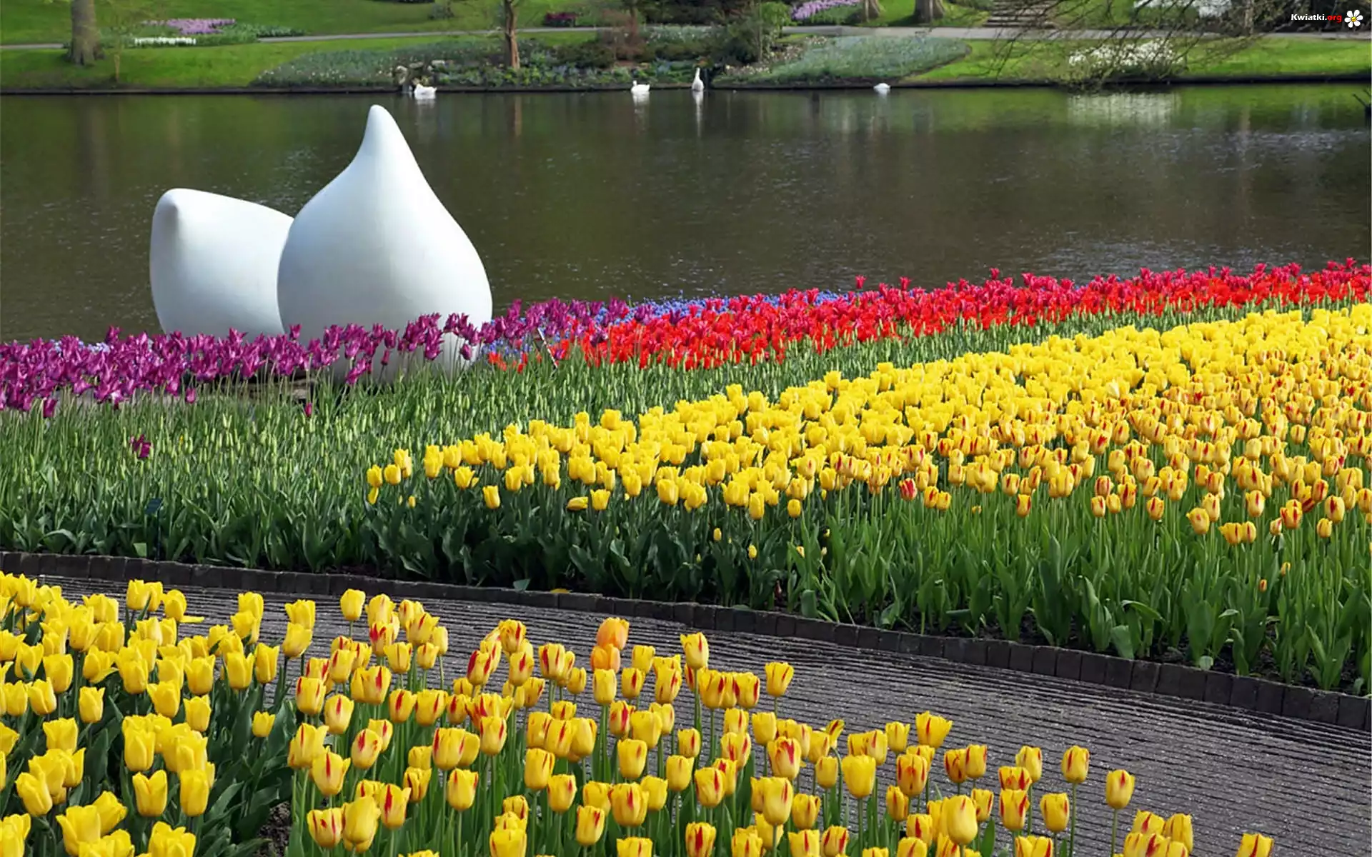 Wiosna, Park, Staw, Kwitnące, Tulipany, Biała, Rzeźba