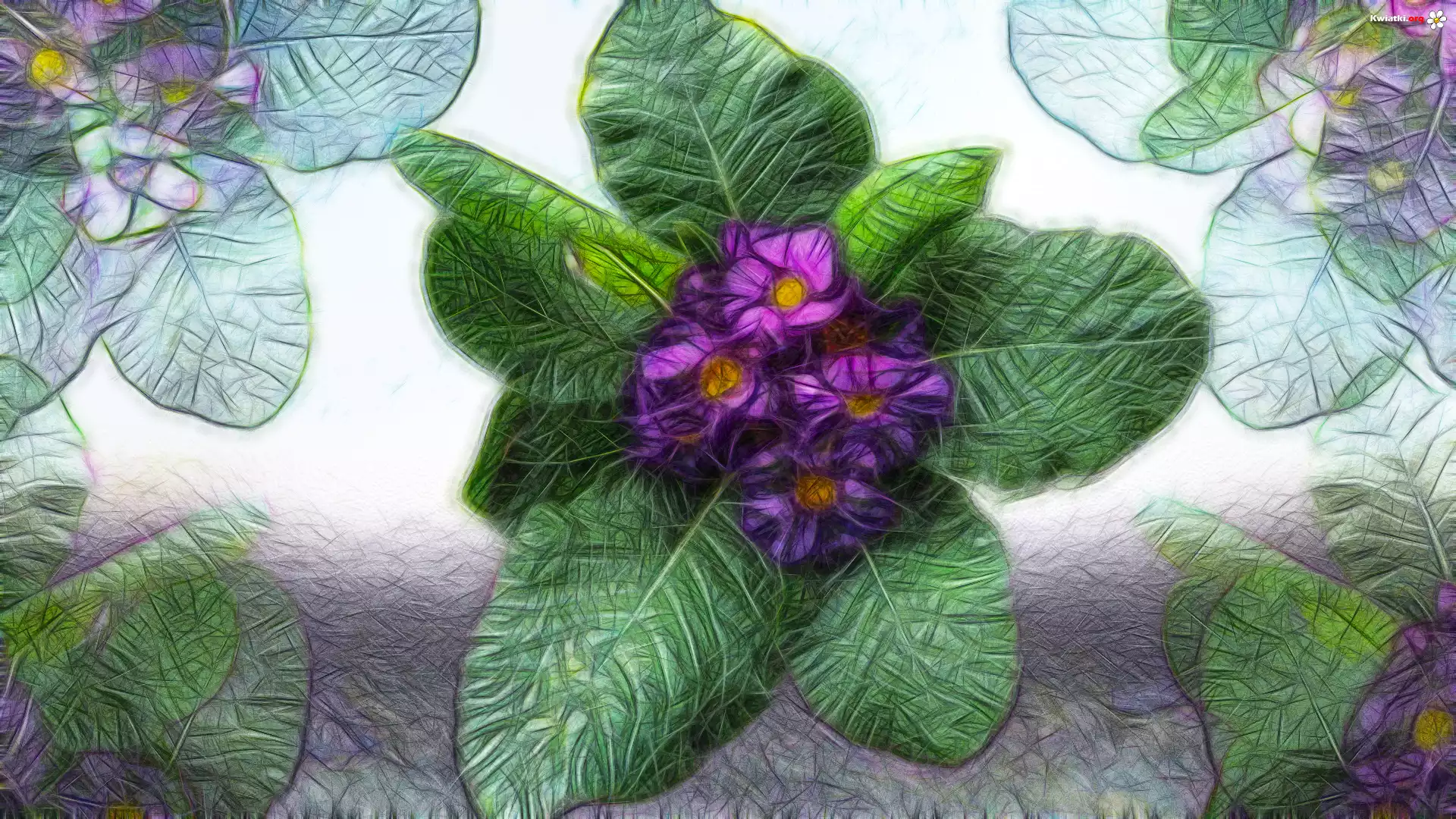 Kwiaty, Pierwiosnki, Fractalius