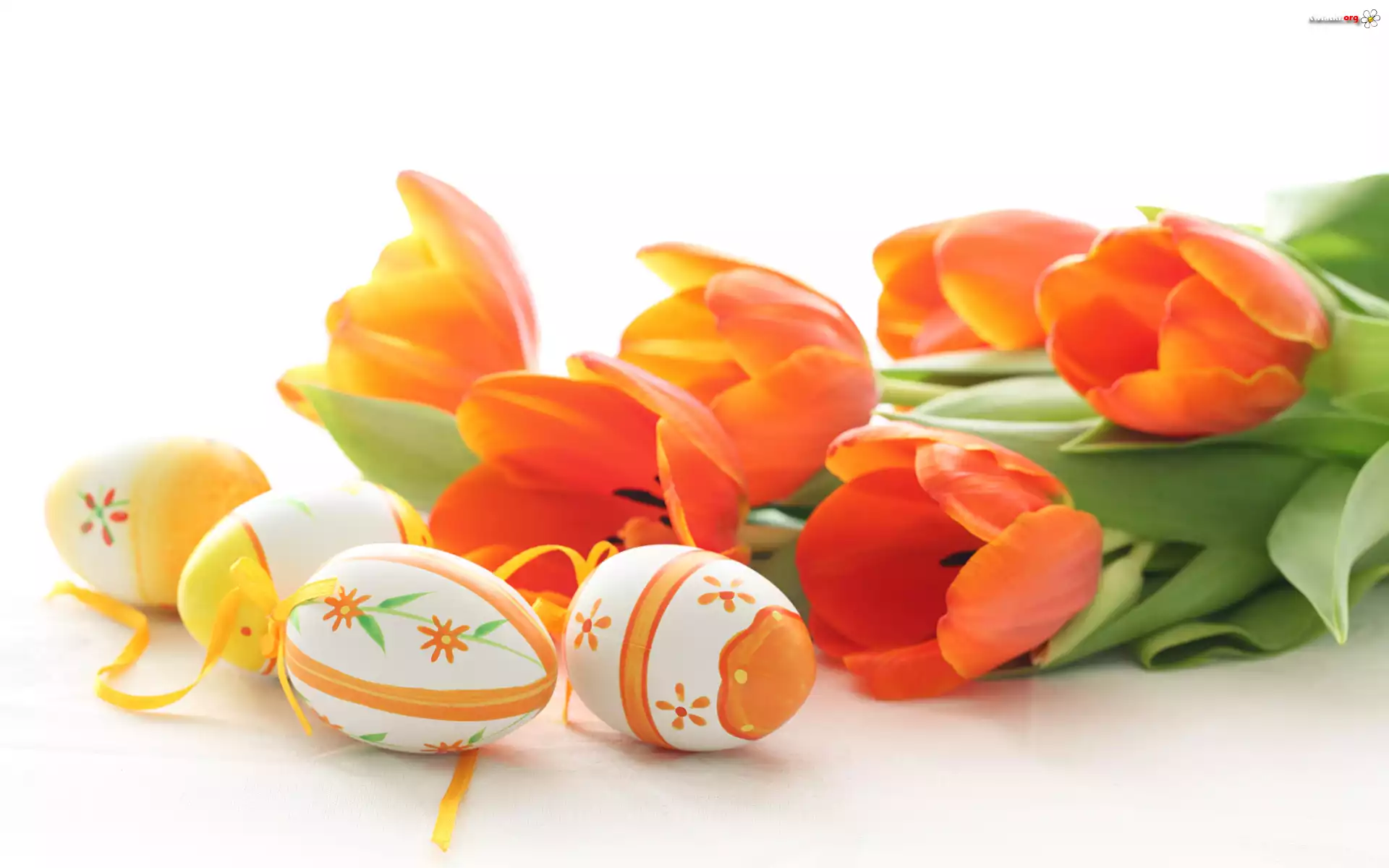 Pomarańczowe, Tulipany, Wielkanocne, Jajka