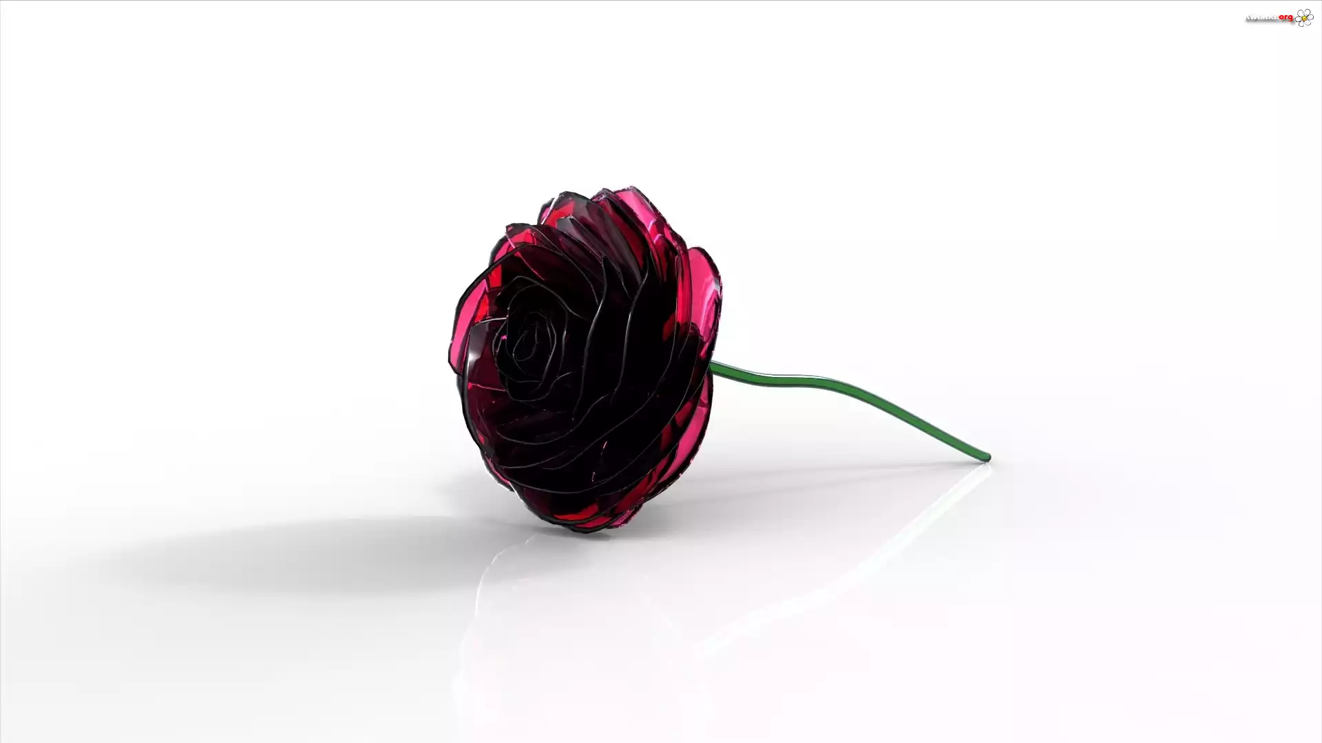 Róża, 3D