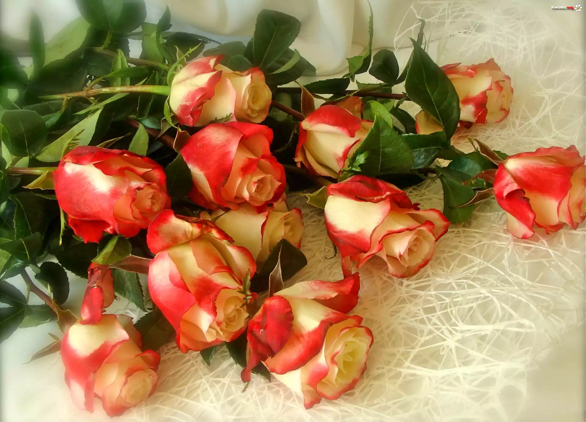 Roze, Bukiet
