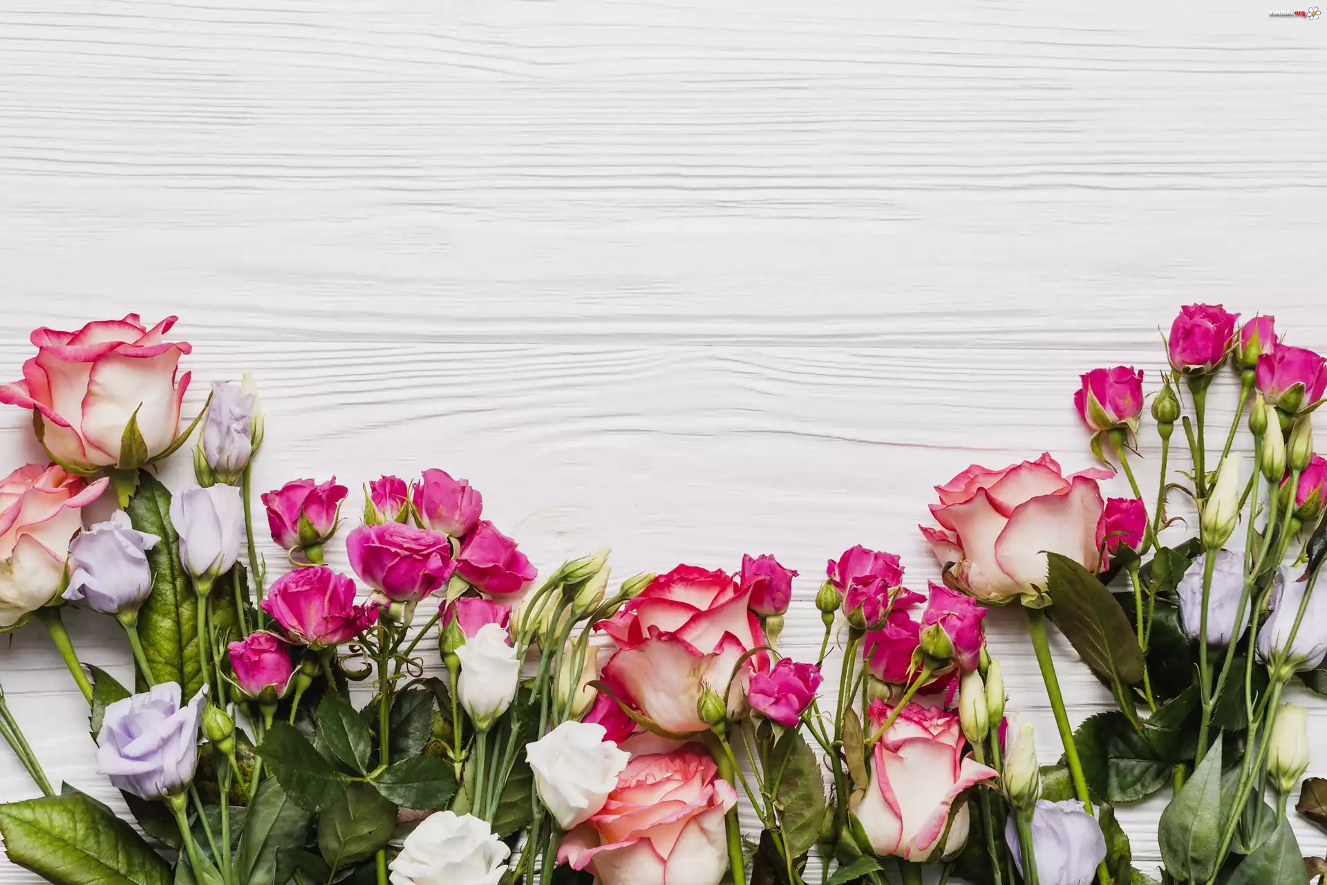 Róże, Eustoma, Drewno, Deska