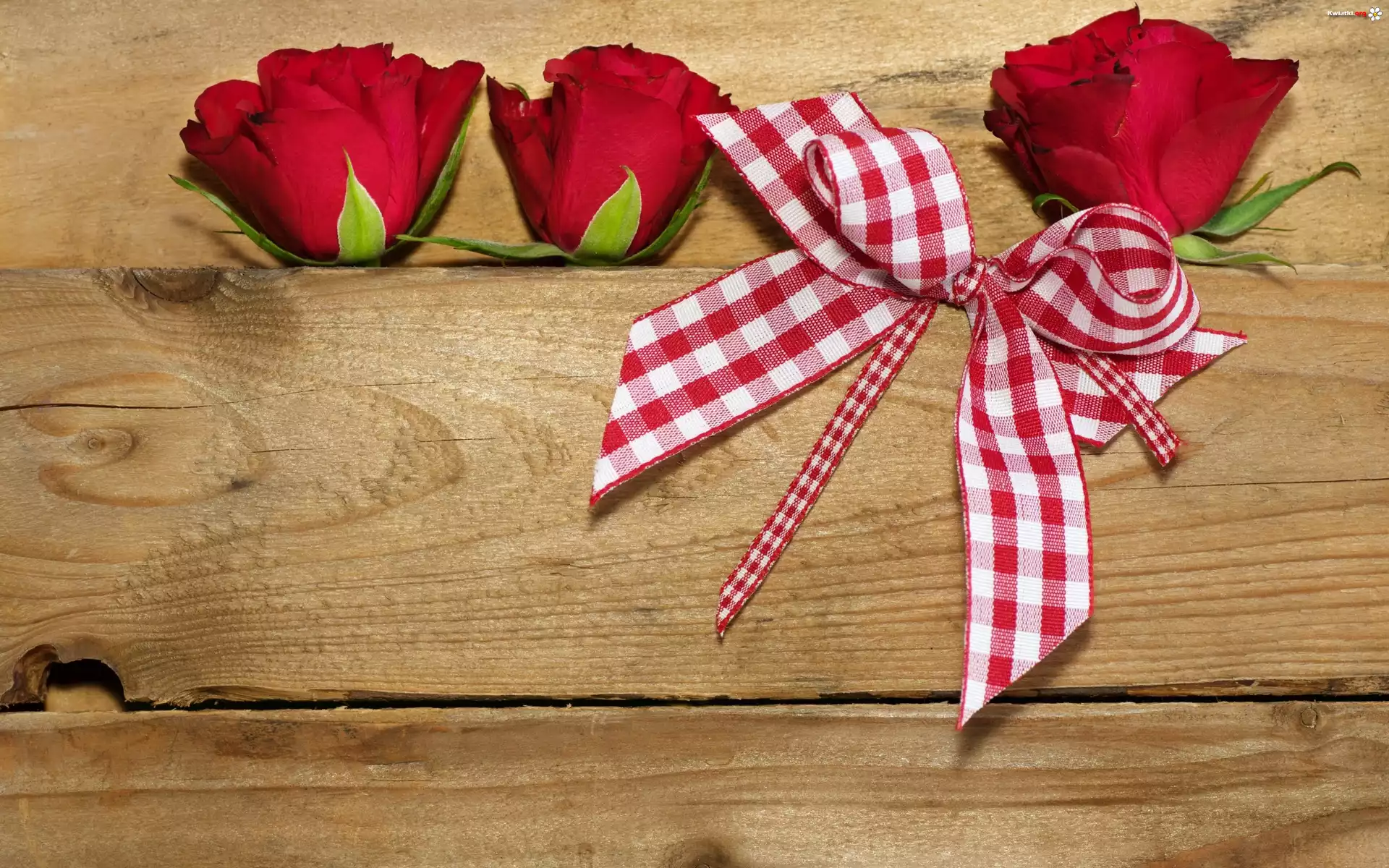 Kwiaty, Roze, Wstazka