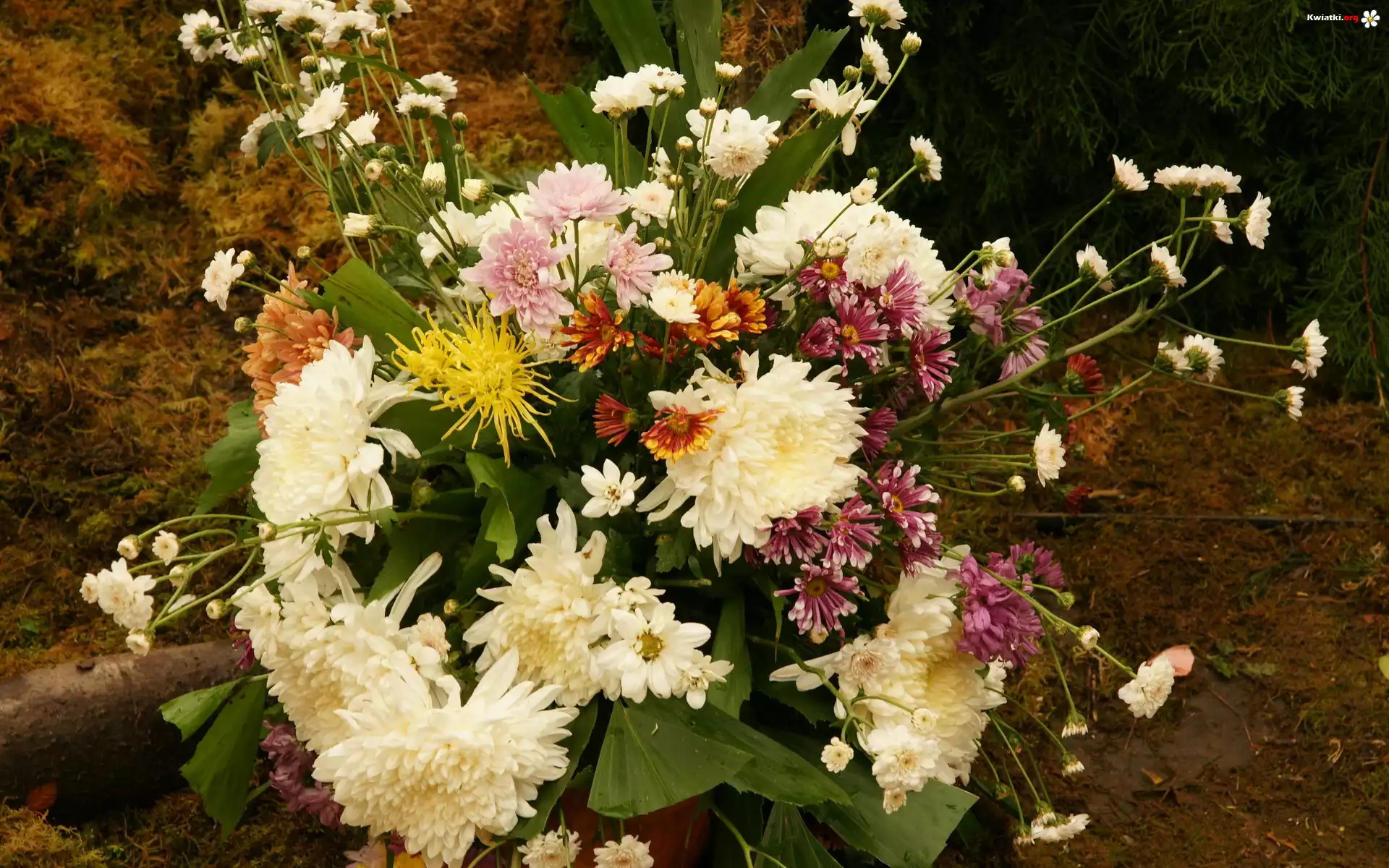 Bukiet, Różnych, Kwiatków