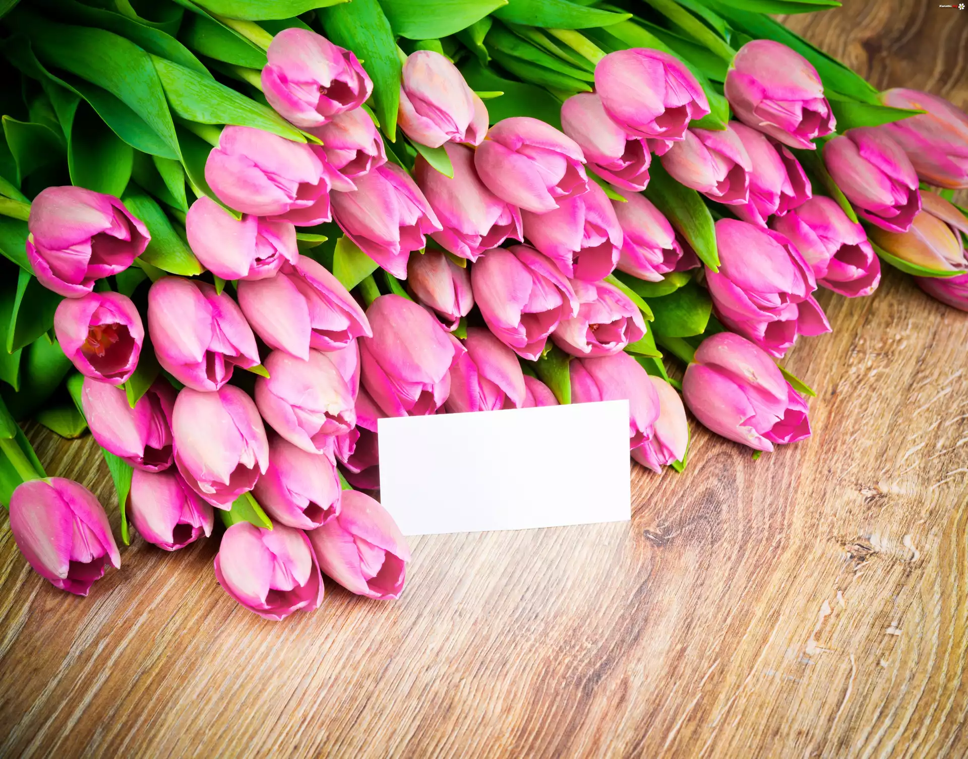 Tulipany, Różowe, Karteczka