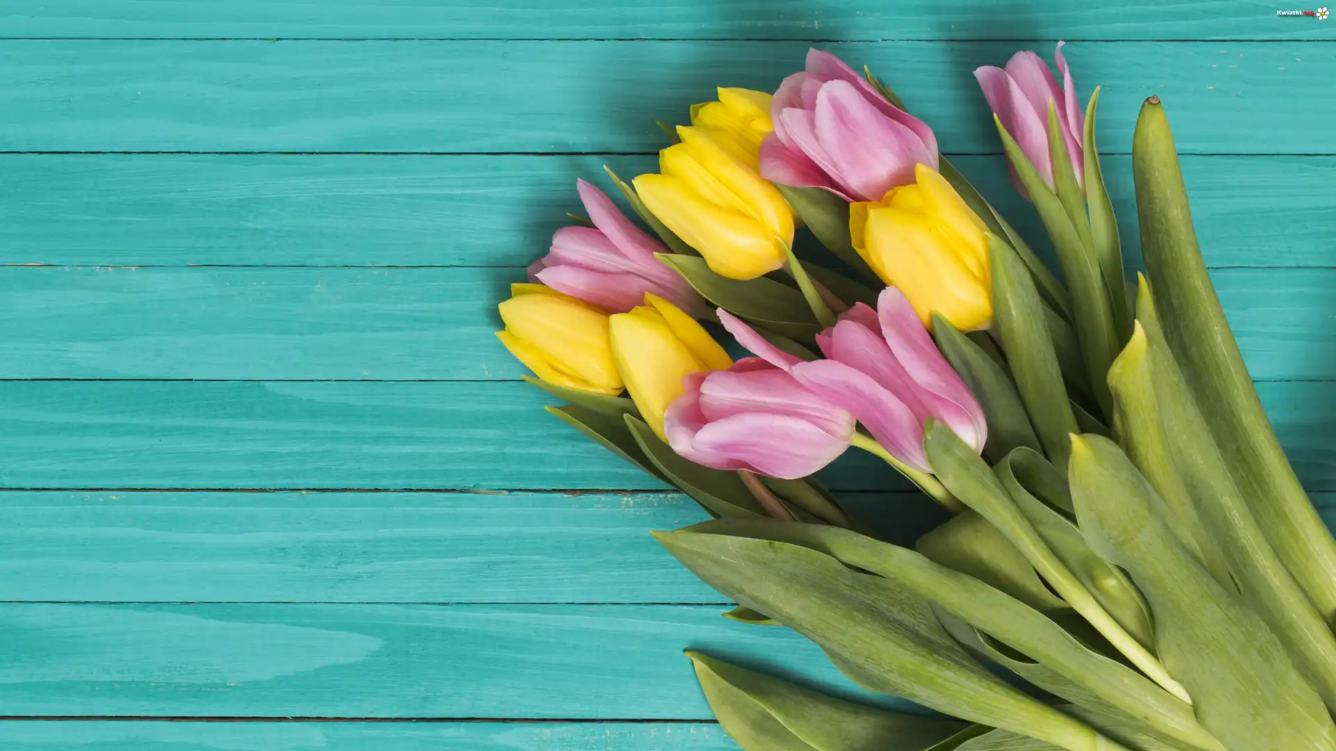 Różowe, Żółte, Tulipany, Deski