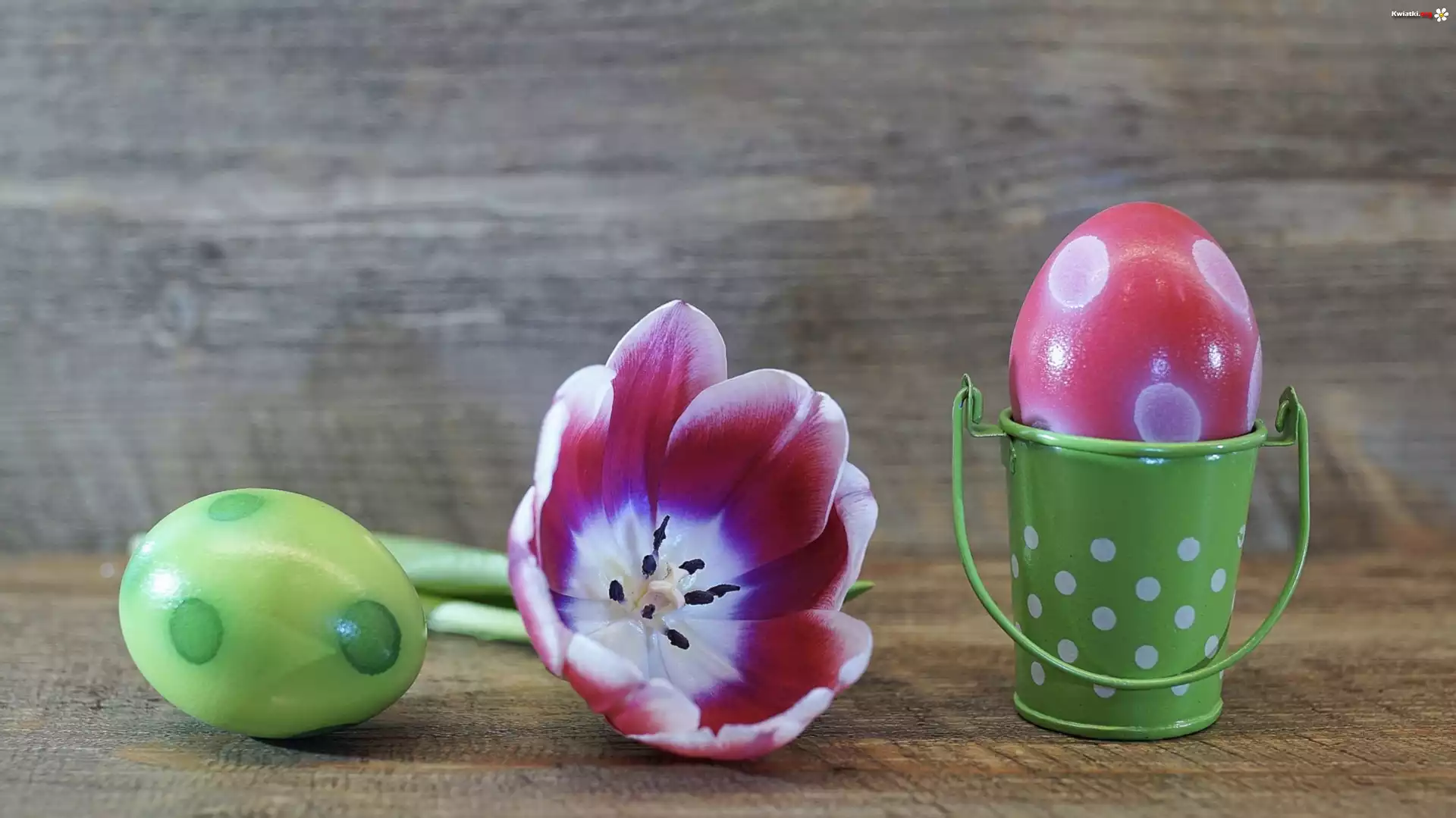 Wielkanoc, Tulipan, Rozwinięty, Ozdobne, Wiaderko, Kolorowe, Pisanki
