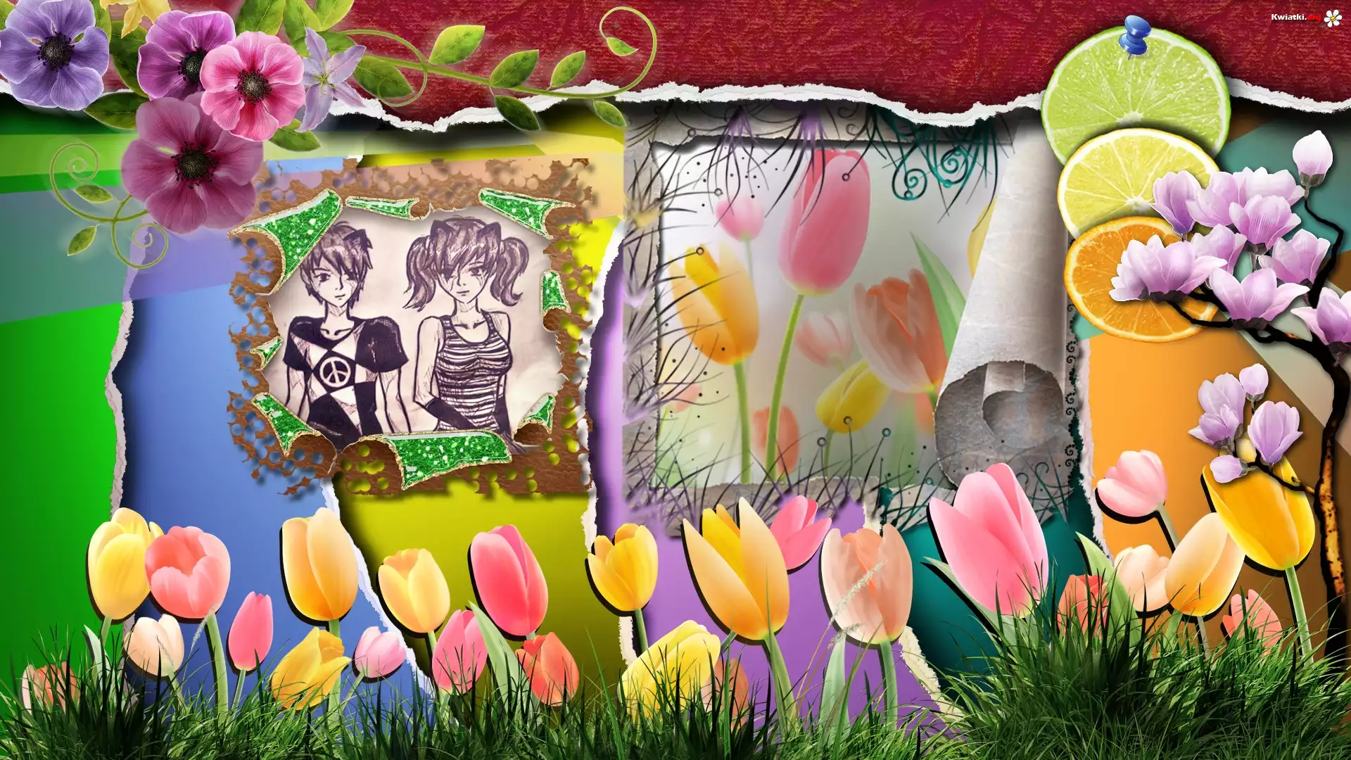 Tulipany, Trawa, Kwiaty, Cytryna, Pomarańcz