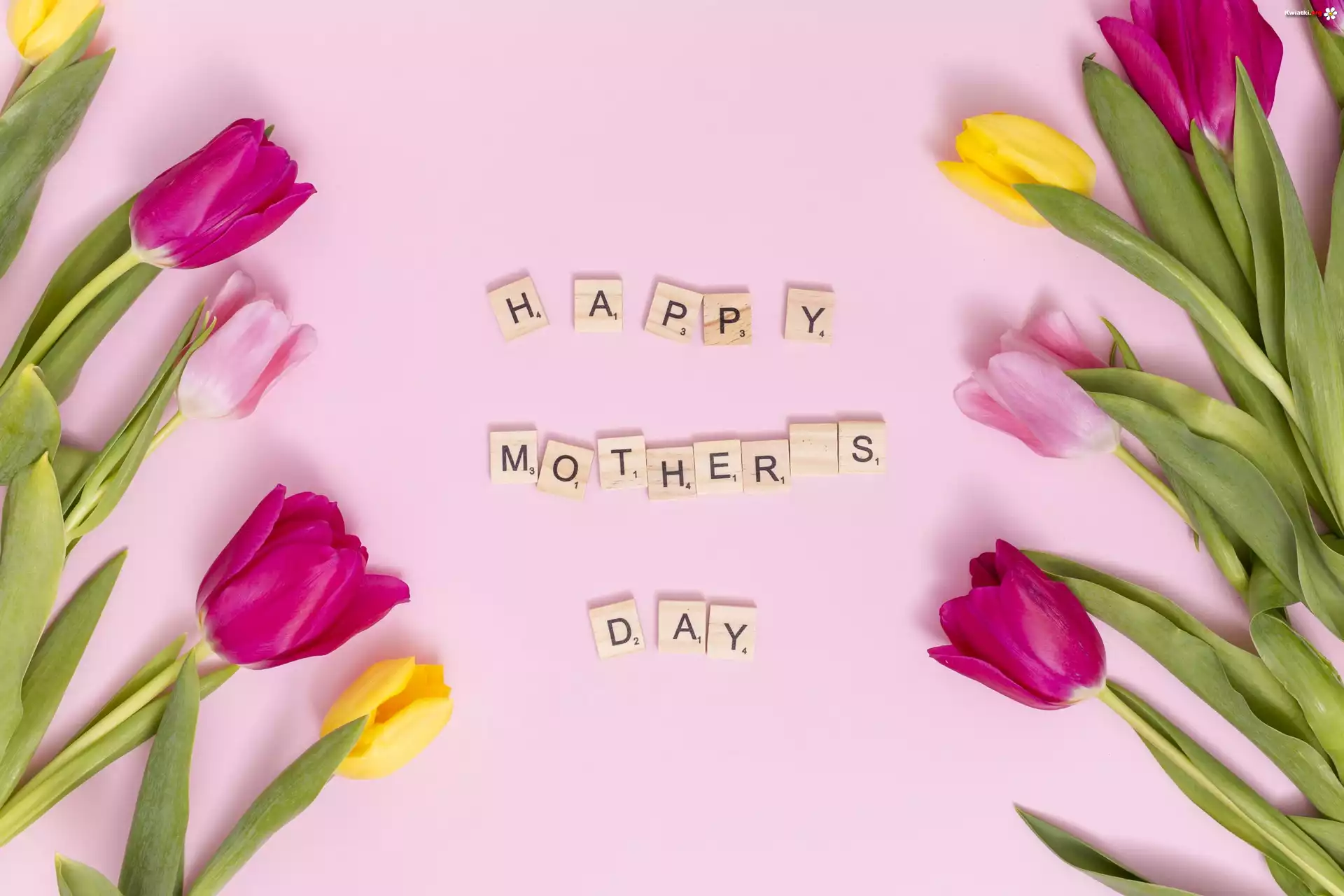 Wiosna, Dzień Matki, Napis, Happy Monters Day, Kwiaty, Tulipany