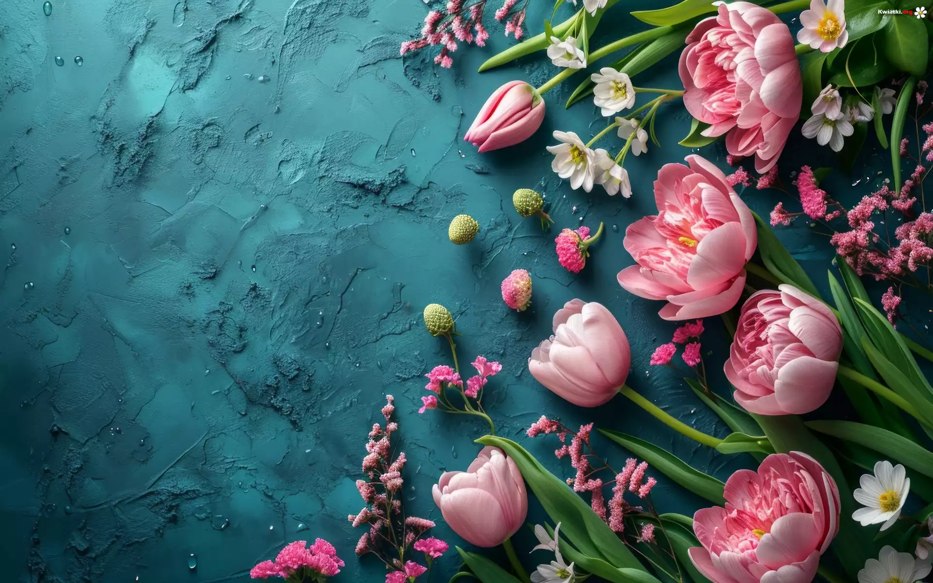 Tulipany, Ciemne, Tło