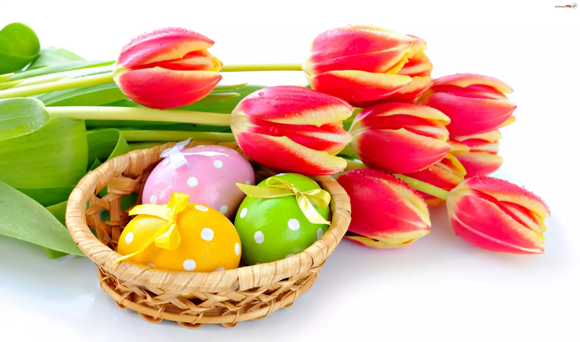 Tulipany, Koszyk, Wialkanocne, Jajka