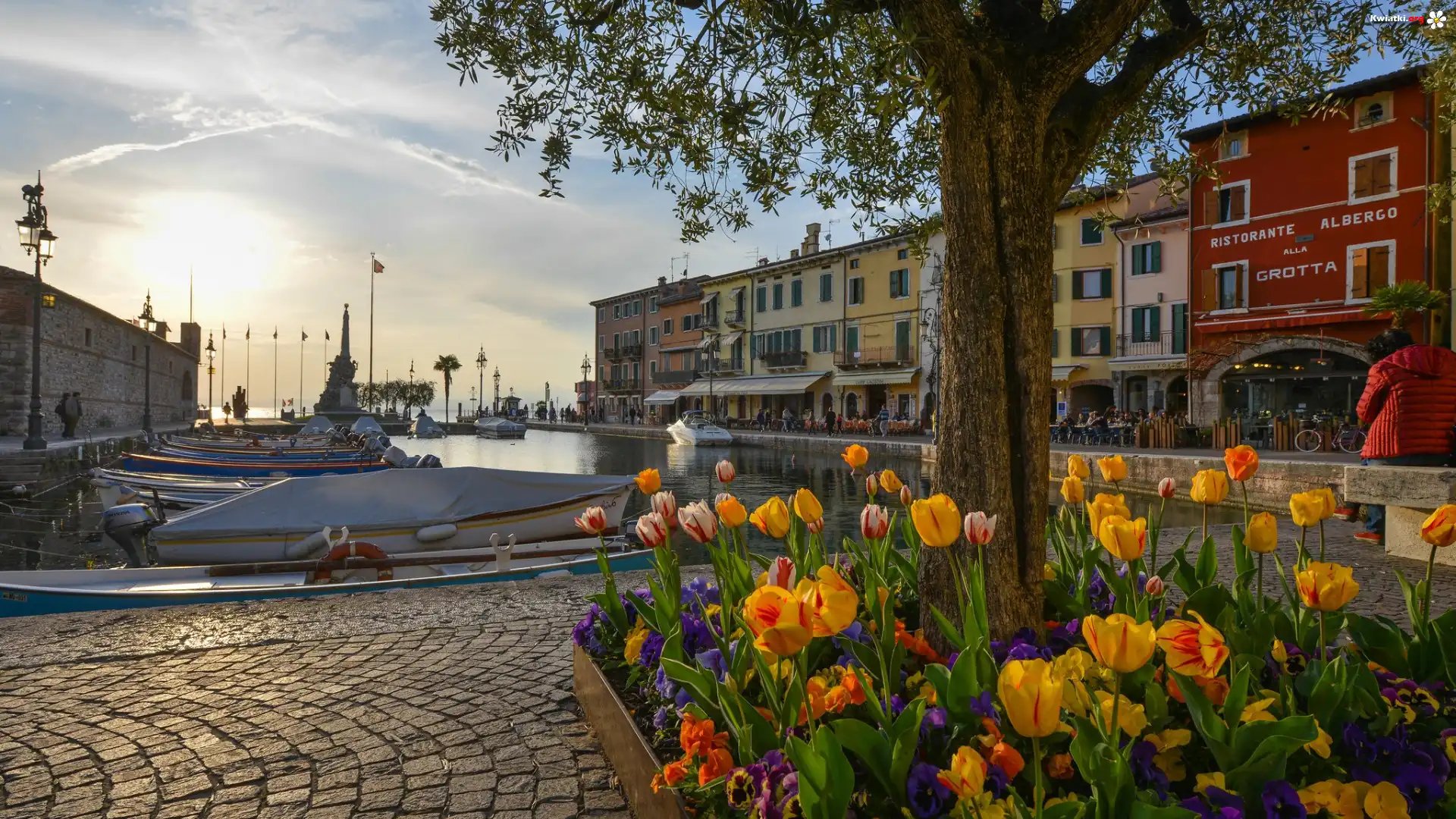 Kwiaty, Tulipany, Drzewo, Domy, Zatoka, Łodzie, Portofino, Włochy