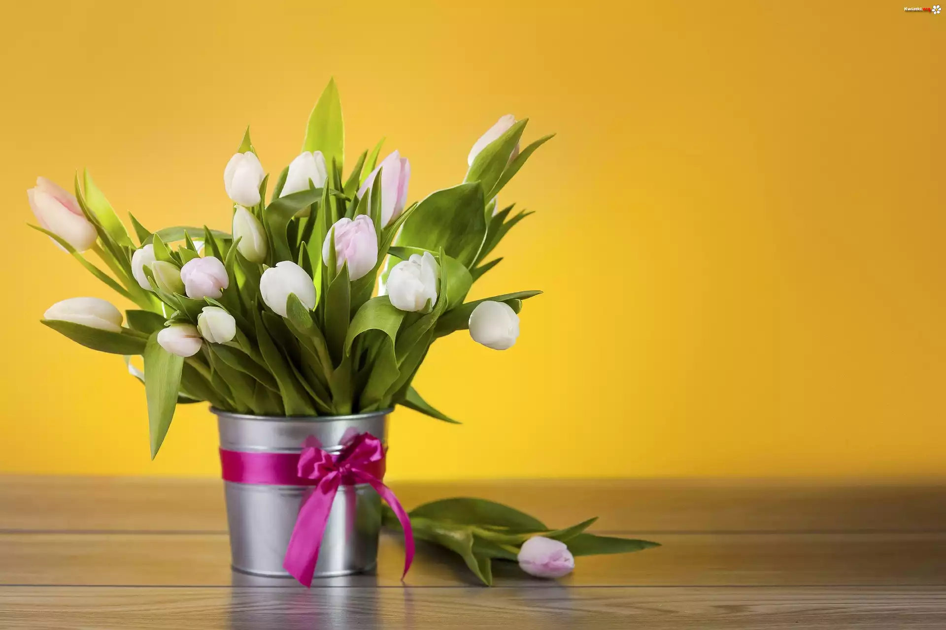 Tulipany, Wazon, Bukiet