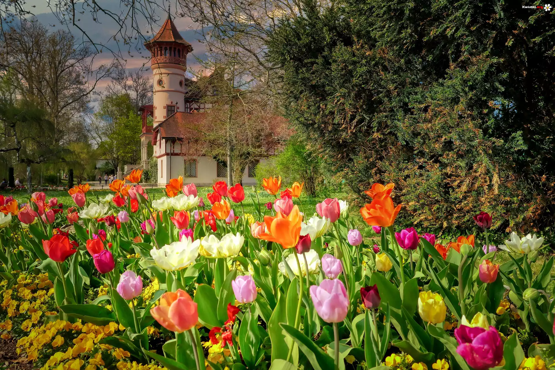 Kwiaty, Tulipany, Wiosna, Zameczek Scheuermanna, Park, Herrsching am Ammersee, Bawaria, Niemcy